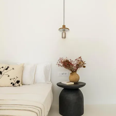 Vila Selinoe The Ultimate Experience Mykonos Town