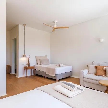 Villa Selinoe The Ultimate Experience Mykonos Town