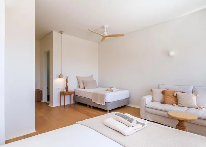 Вилла Selinoe The Ultimate Experience Mykonos Town